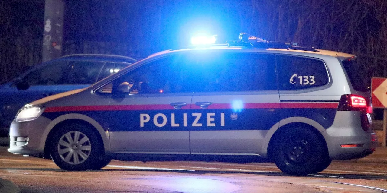 Mann ruft Nazi-Parolen und attackiert Polizisten