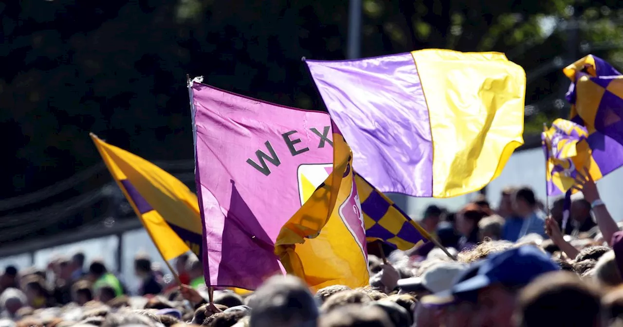 Wexford GAA hand out 10 year ban after incidents following underage game