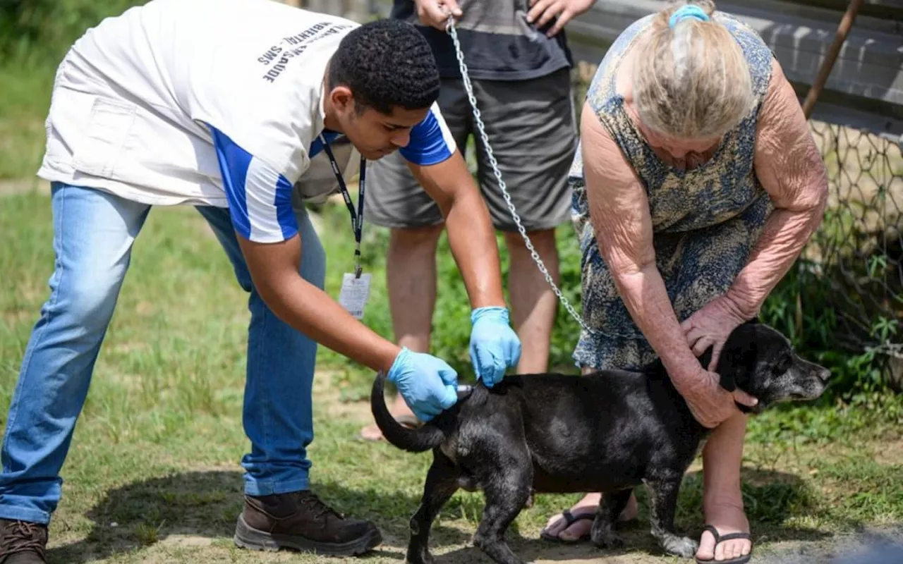 Barra Mansa continua aplicação de vacina antirrábica