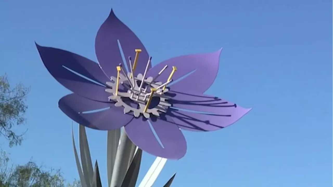 Final flower sculptures completed in public art series at San Antonio area parks