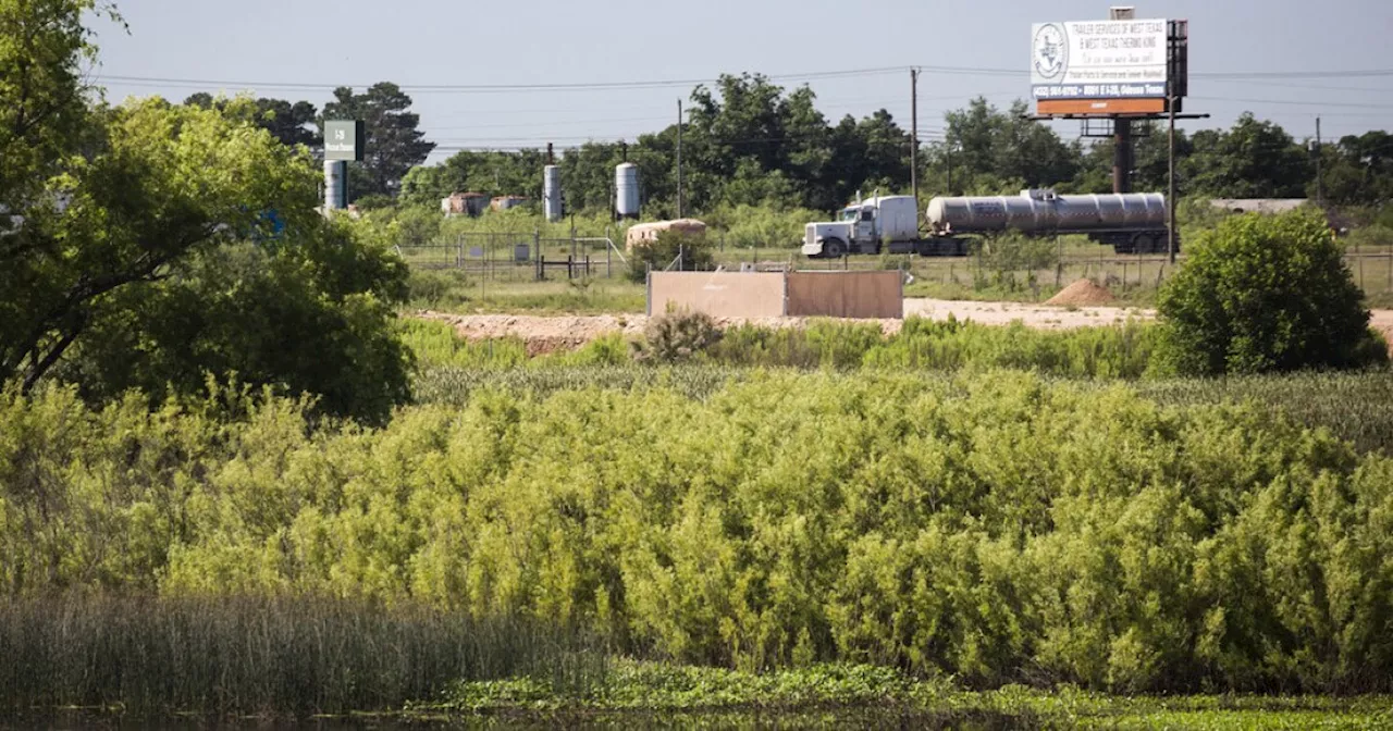 TxDOT applies for federal Wildlife Crossings Program to protect animals, drivers