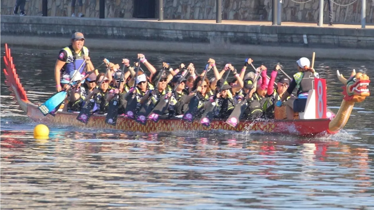 Paddles with a Purpose: Breast cancer survivors bonding through dragon boat racing