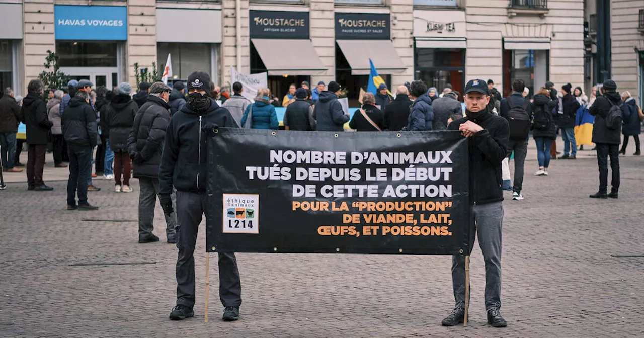 La désobéissance civile dans le viseur de l’Assemblée nationale