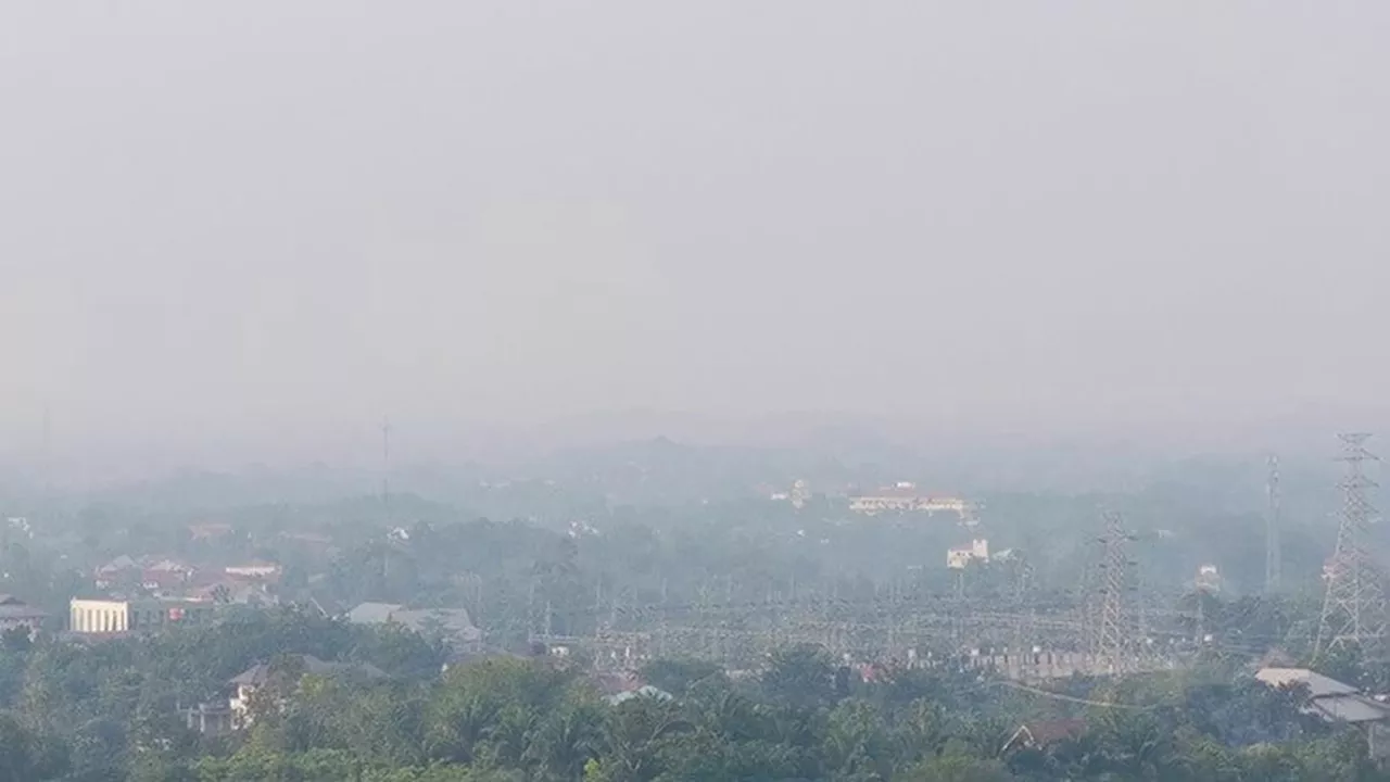 Ribuan Titik Panas Kepung Sumatra, Pekanbaru Kembali Diselimuti Kabut Asap