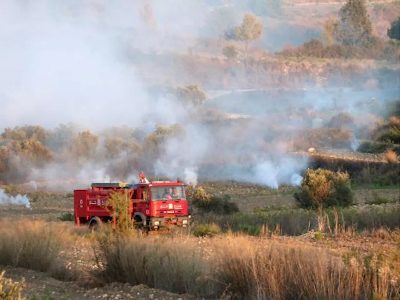 Israel Gagalkan Upaya Infiltrasi dari Libanon, Empat Tewas