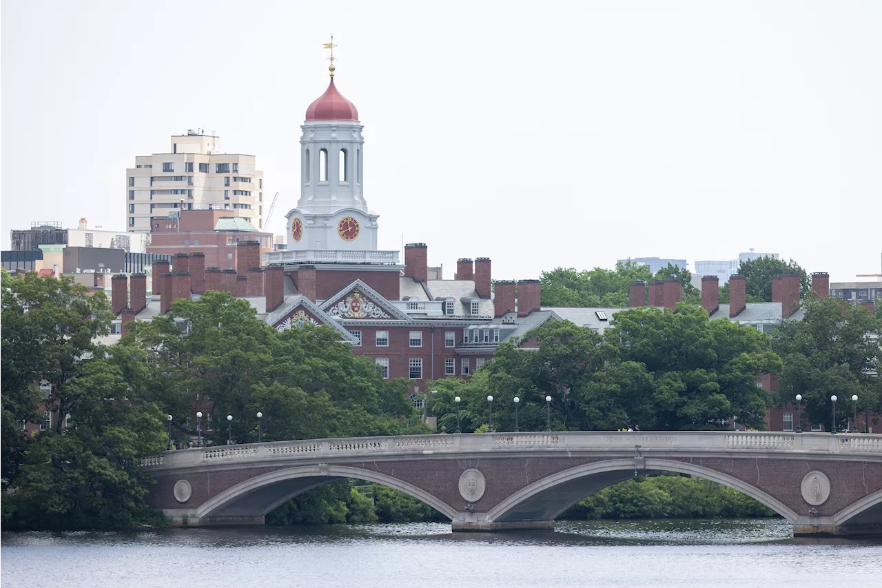 Harvard faces continued criticism from students, partners over response to Israel-Hamas war