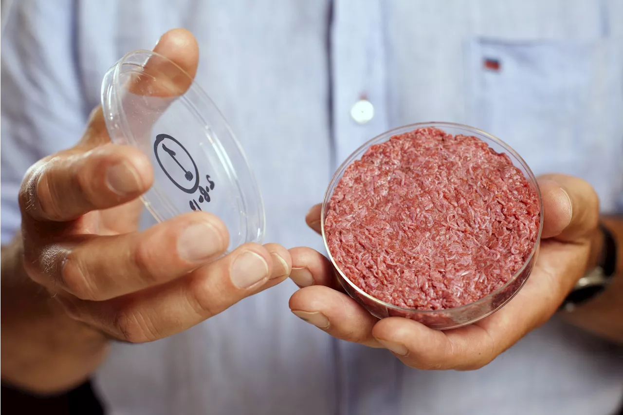 Lab-Grown Meat Prices Expected to Drop Dramatically