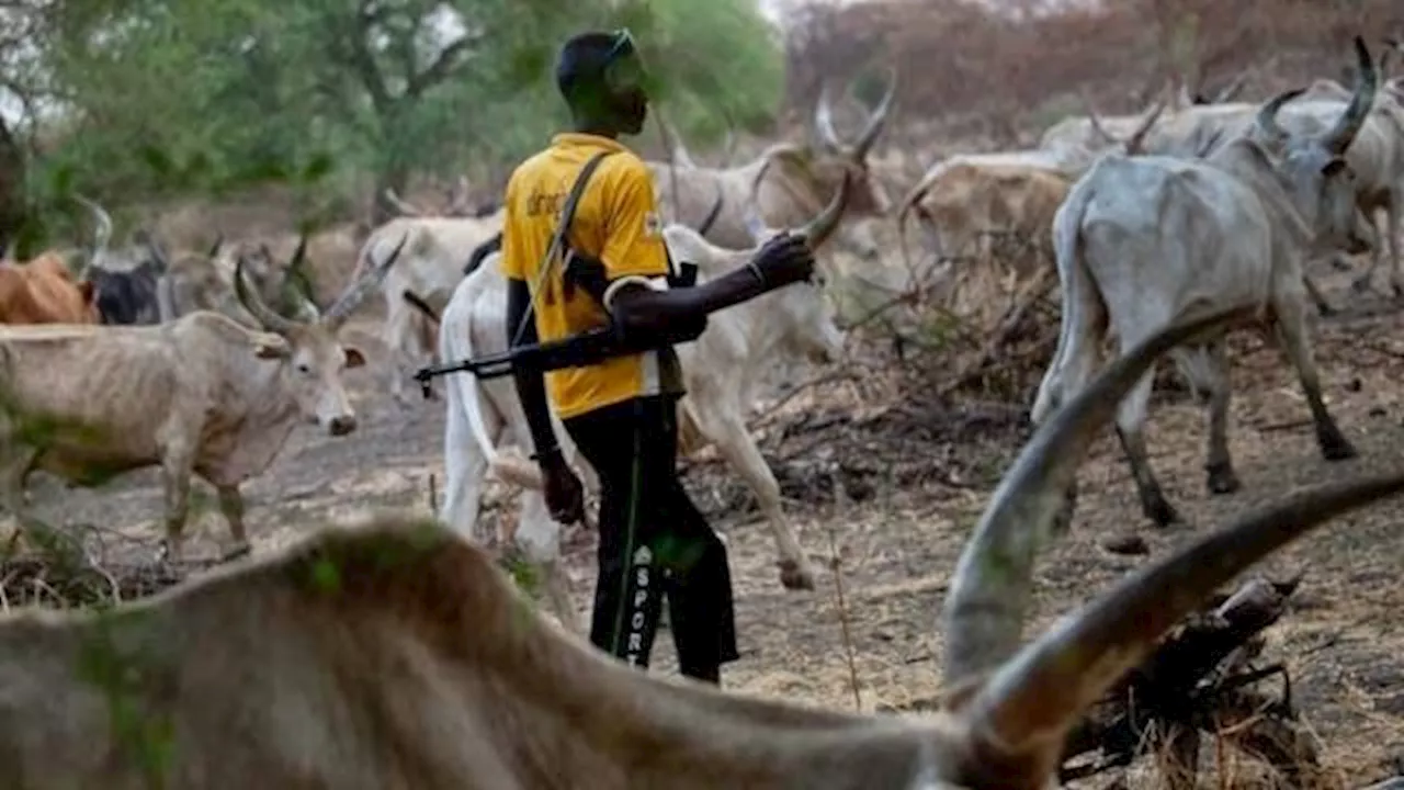 BREAKING: Clash Between Herdsmen and Security Operatives Claims Lives in Oyo