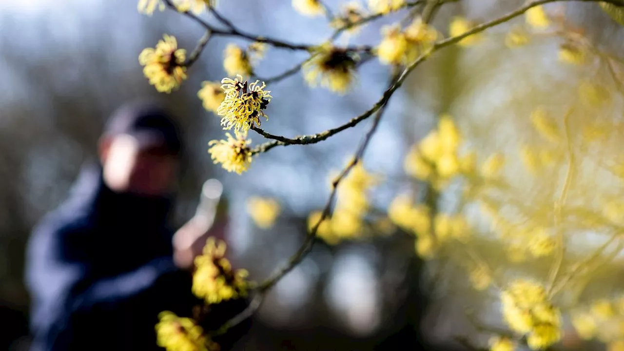 Niedersachsen & Bremen: Park der Gärten: 185.000 zahlende Gäste im Jahr 2023