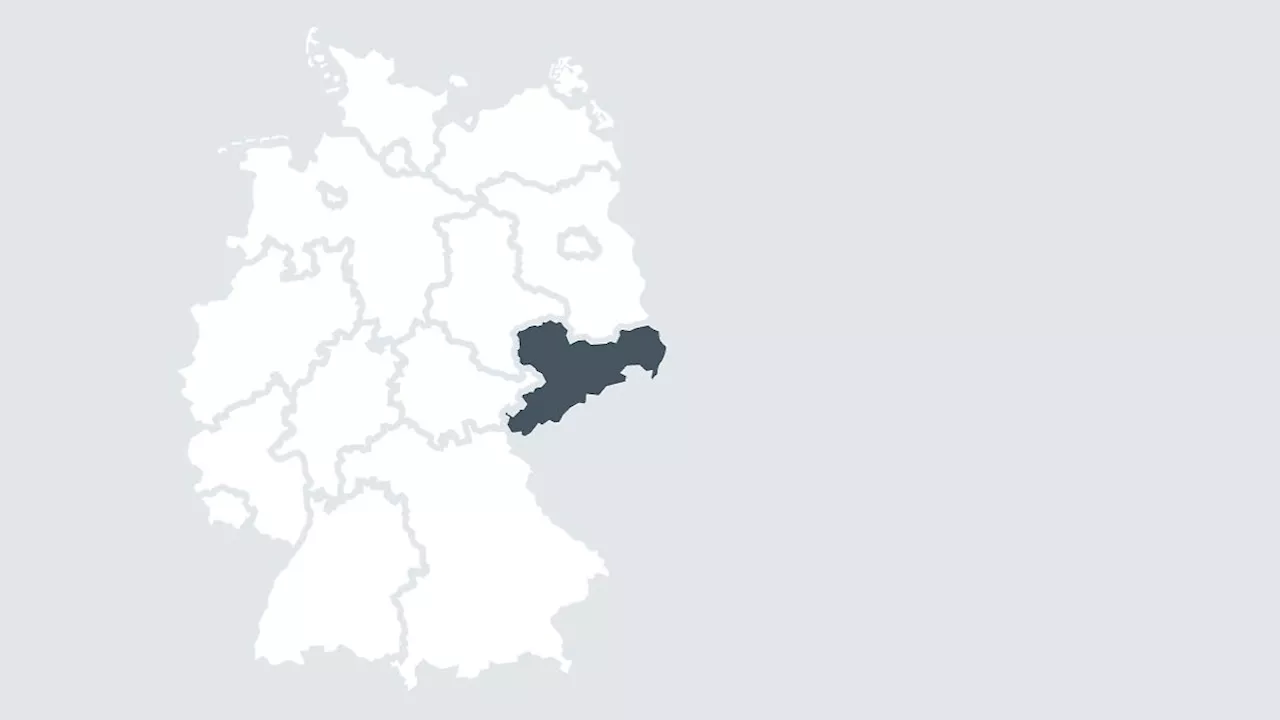 Sachsen: 'Schleudersachse' geht an Sachsens Staatsverwaltung