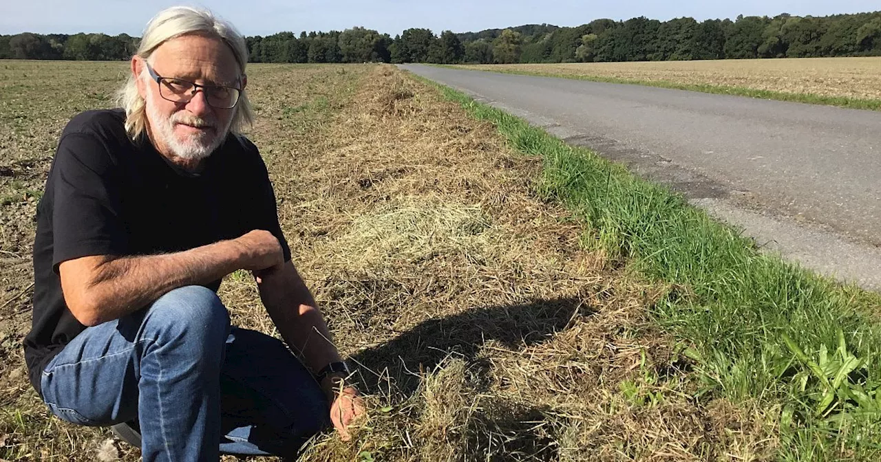 Herforder Bauer vernichtet städtische Blühfläche