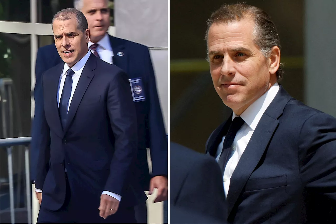 More voters think Hunter Biden, Joe Biden and Trump broke the law: poll