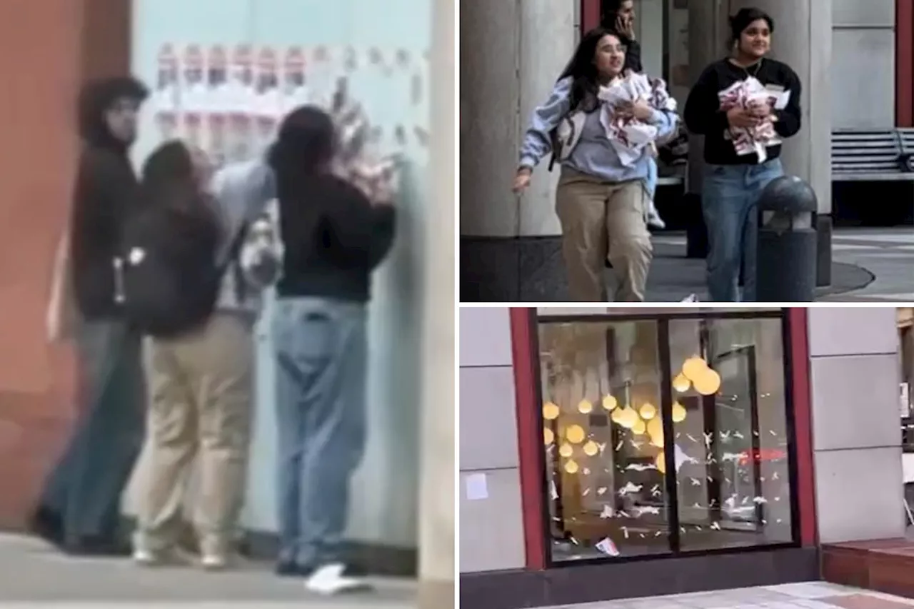 Trio caught on video ripping down Israeli hostage posters on NYU campus: 'Cowards'