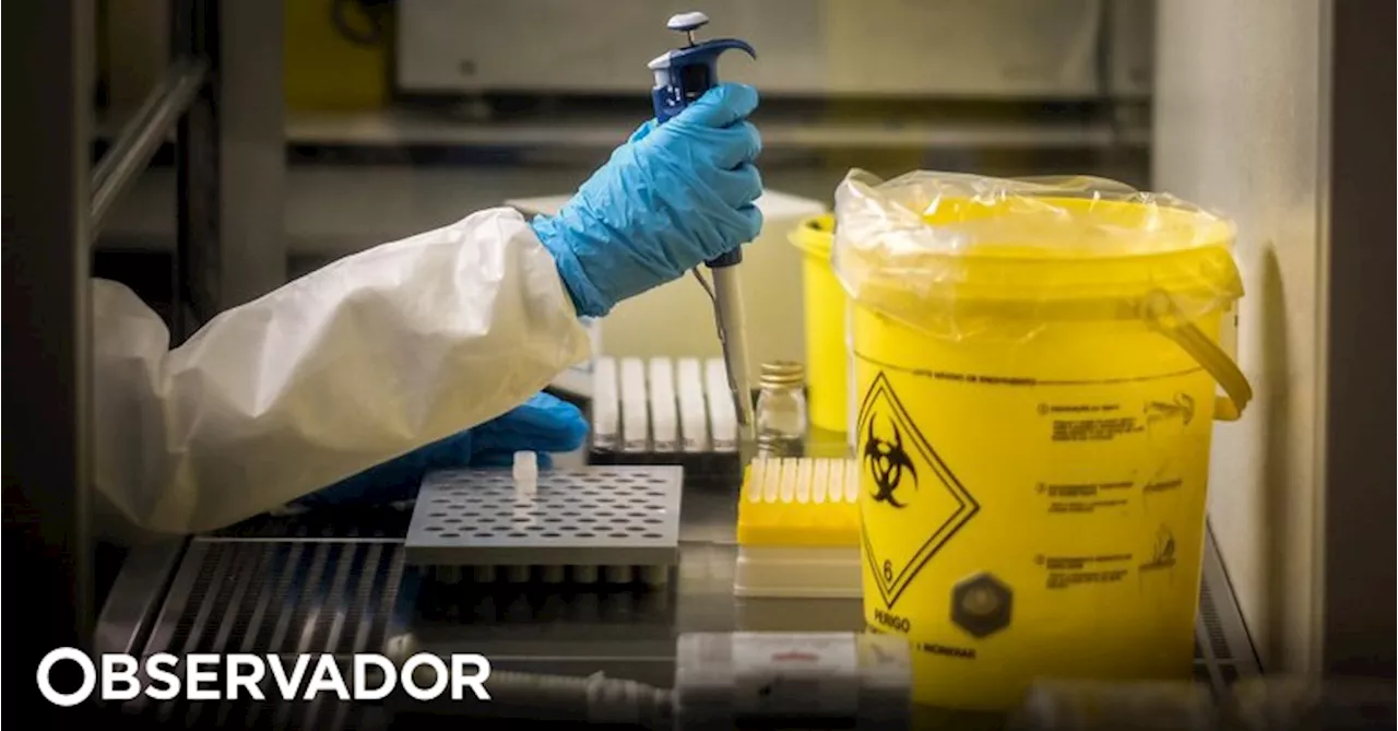 Instituto Nacional de Saúde defende rede informal de laboratórios para doenças como tuberculose ou Mpox