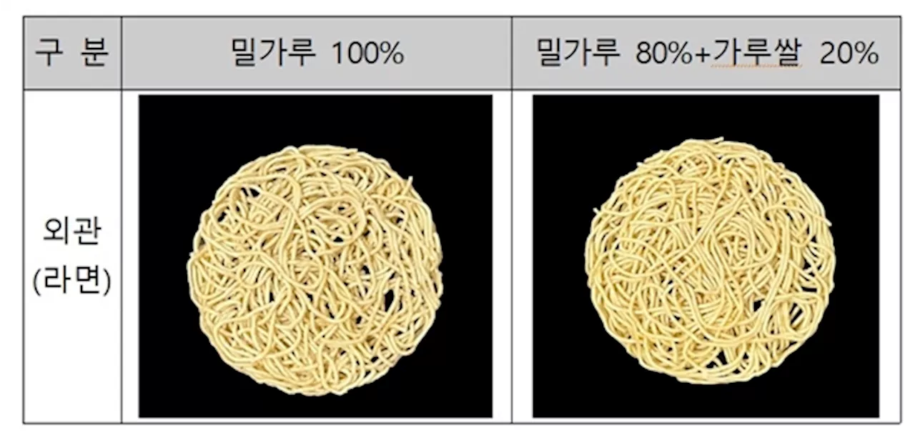 농진청, 밀가루 20% → 가루쌀 대체한 '가루쌀 라면' 제시