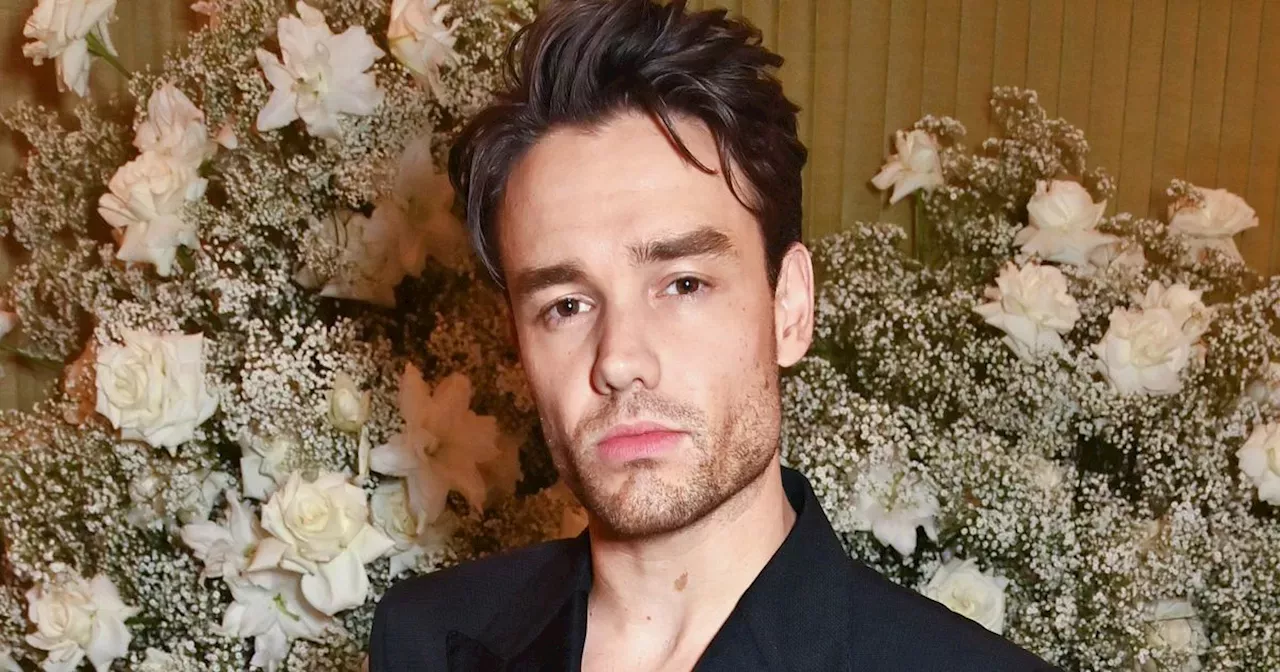 Liam Payne 'banned From Driving' After Speeding As Star Is 'struggling ...