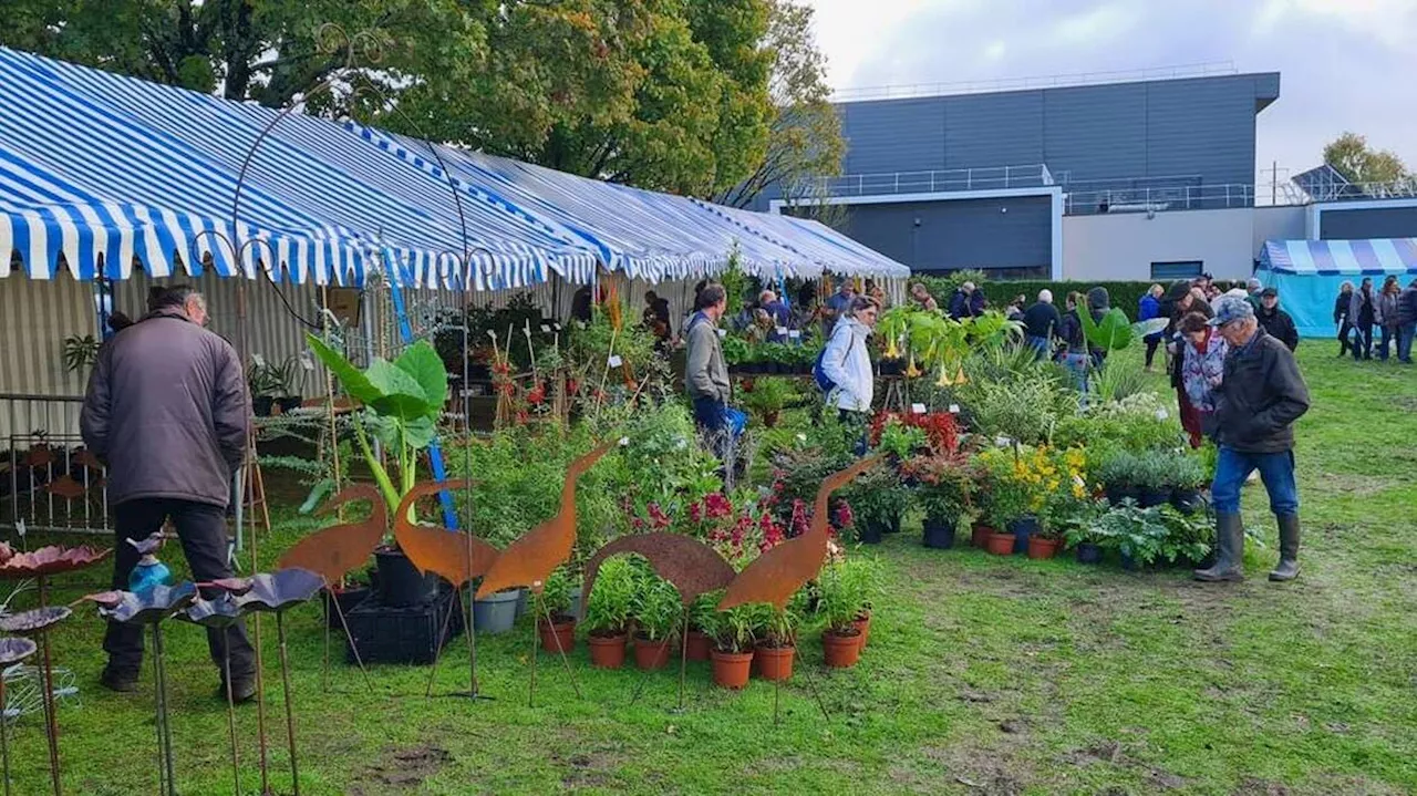 À Kervignac : « La Foire aux plantes est un événement incontournable de l’automne »