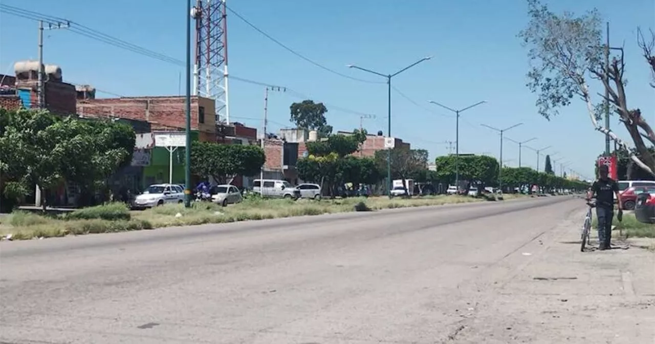 Fallas en alumbrado público en Salamanca son por robo de cableado, advierte Servicios Públicos