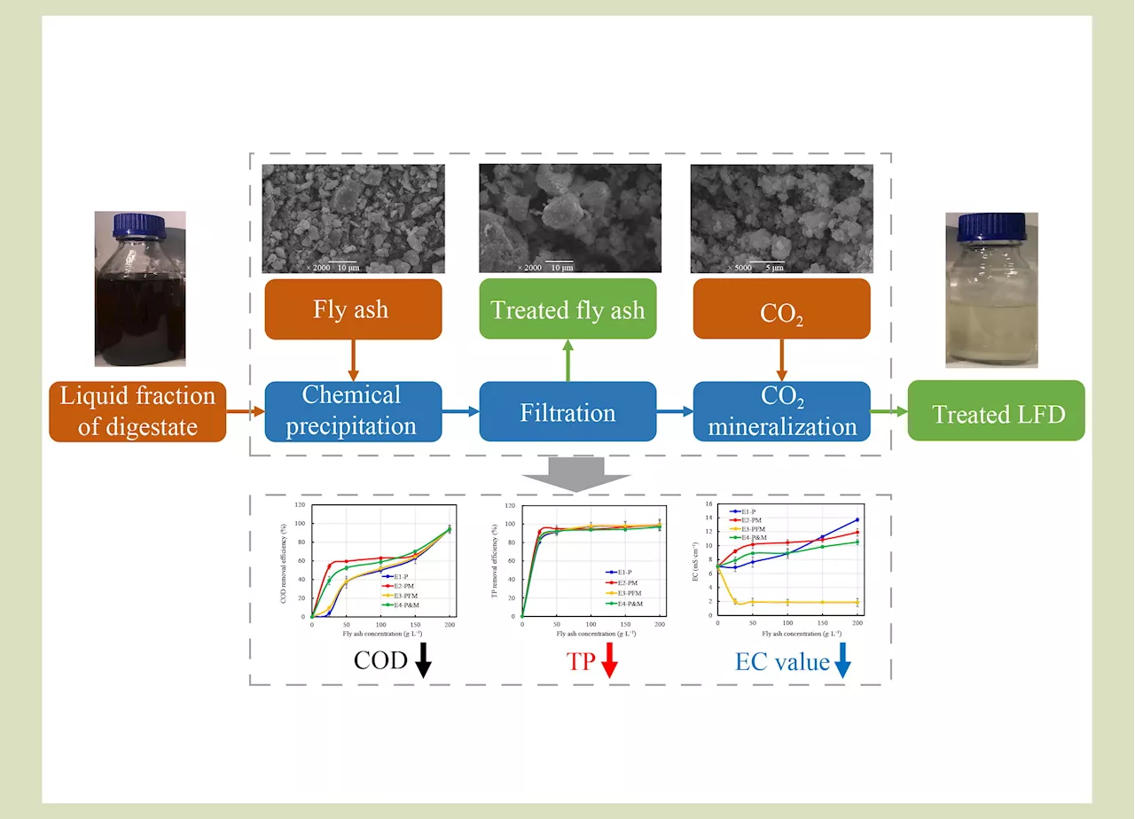 Scientifically, efficiently and cost-effectively treating wastewater generated from anaerobic digestion