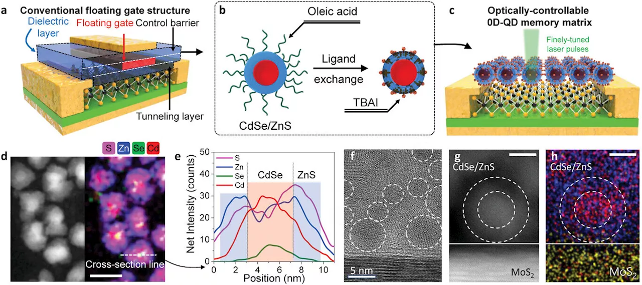 Ushering in the era of light-powered 'multi-level memories'