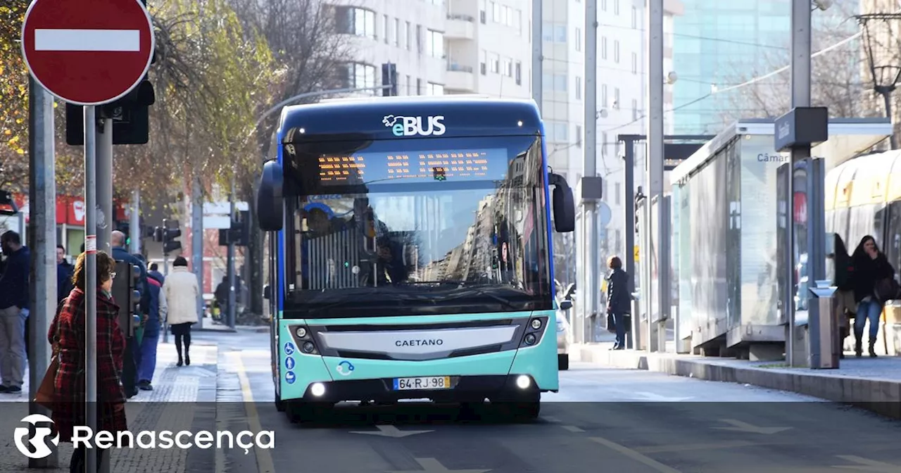 Nova rede de autocarros da Área Metropolitana do Porto arranca a 1 de dezembro