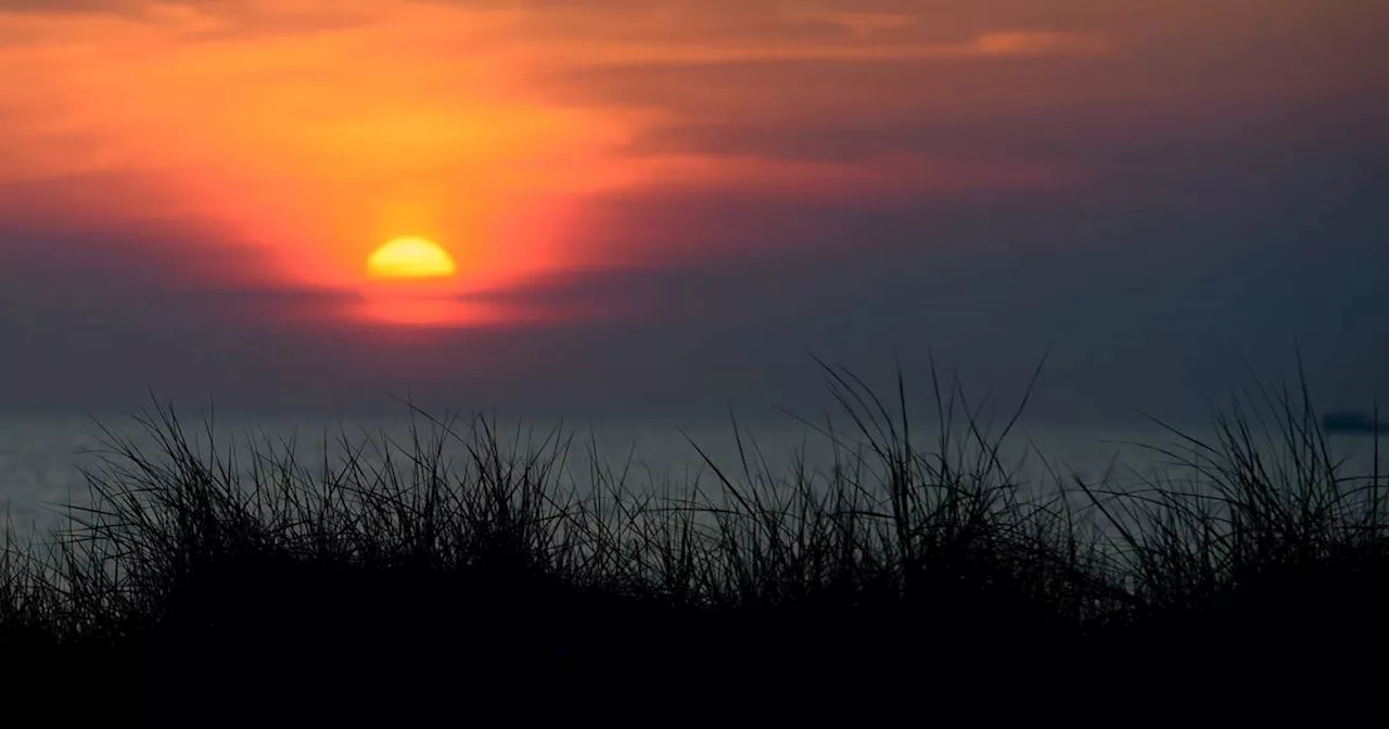 Urteil in Lübeck: Richter erlaubt Wildpinkeln in Ostsee