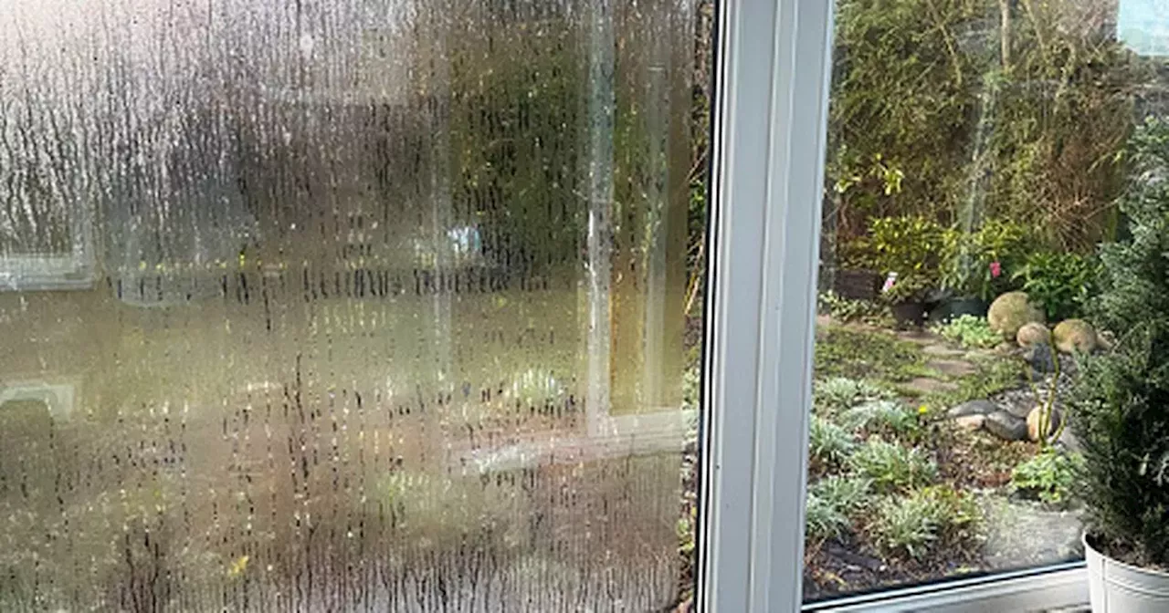 Get rid of condensation on your windows with genius trick using household item