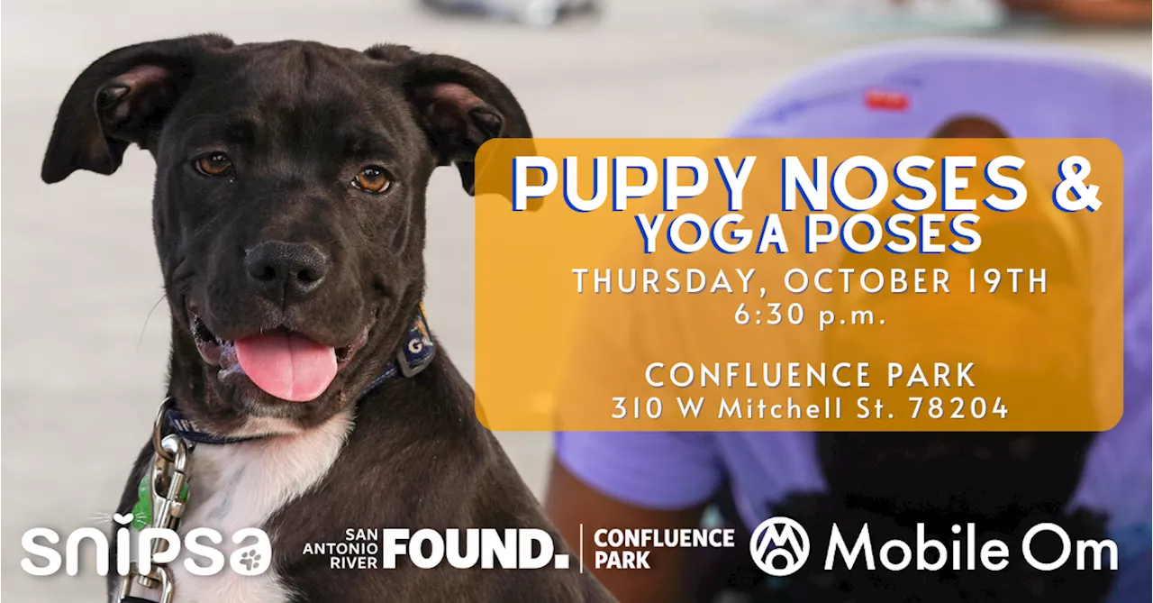 Puppy Noses and Yoga Poses