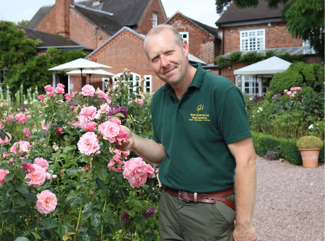 Goldstone Hall Hotel scoops top prize for its five-acre garden