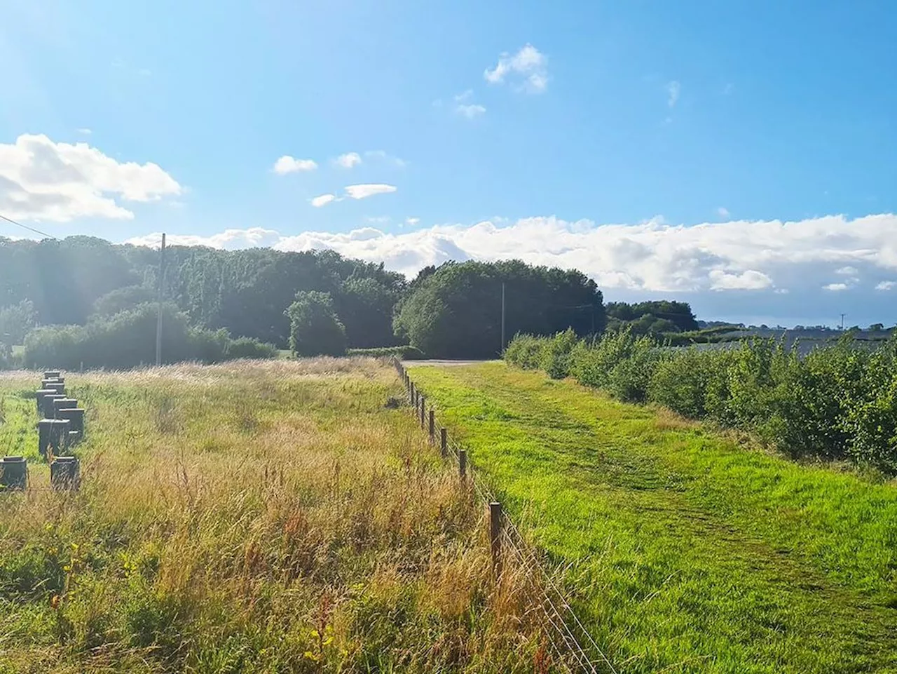 Revealed: Council's bid to block Telford solar farm failed after claim served too late