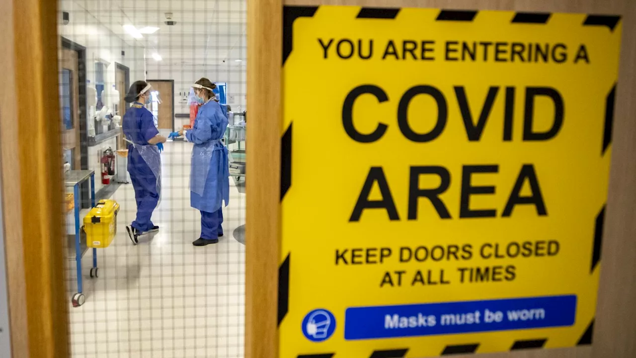 COVID: There could have been fewer coronavirus-related deaths with earlier lockdown, scientist tells inquiry