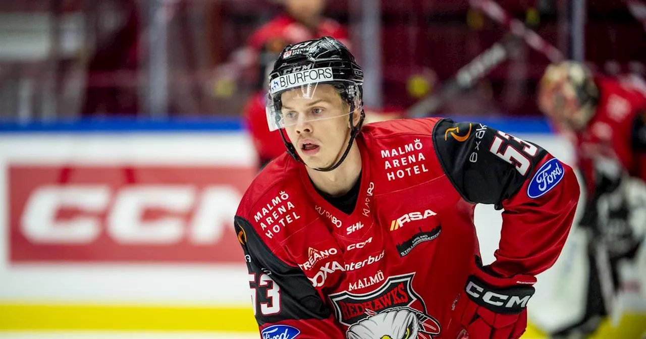 Sjöberg lämnar Redhawks för Tingsryd