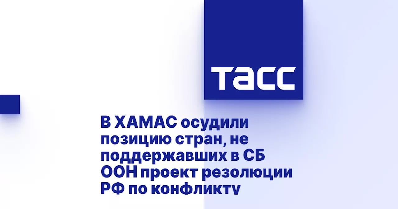 В ХАМАС осудили позицию стран, не поддержавших в СБ ООН проект резолюции РФ по конфликту