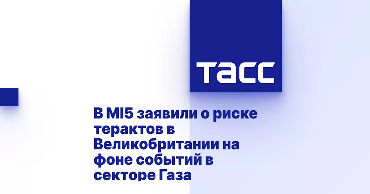 В MI5 заявили о риске терактов в Великобритании на фоне событий в секторе Газа