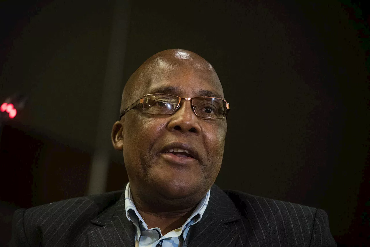 Motsoaledi ‘still studying judgment’ after ZEP appeal court loss