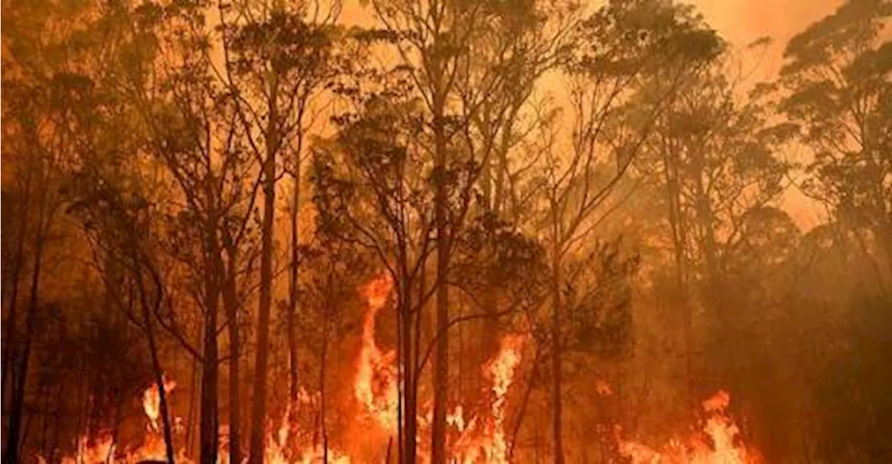 Man dies as dozens of bushfires rage across Australia