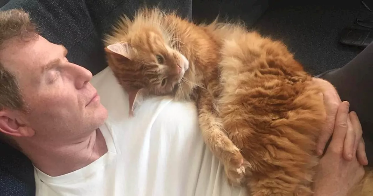 Bobby Flay Announces With a ‘Broken Heart’ That His Cat Nacho Died