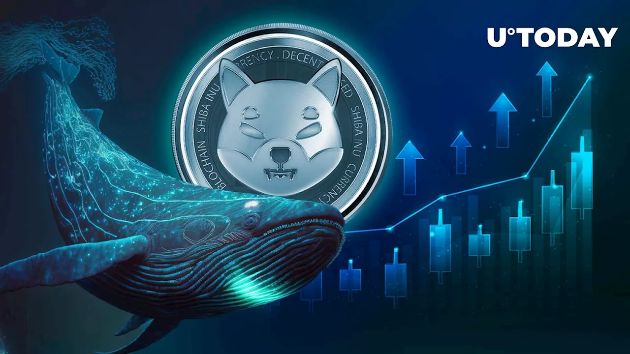 Shiba Inu (SHIB) up 400% in Large Transactions: Whales Woke Up?