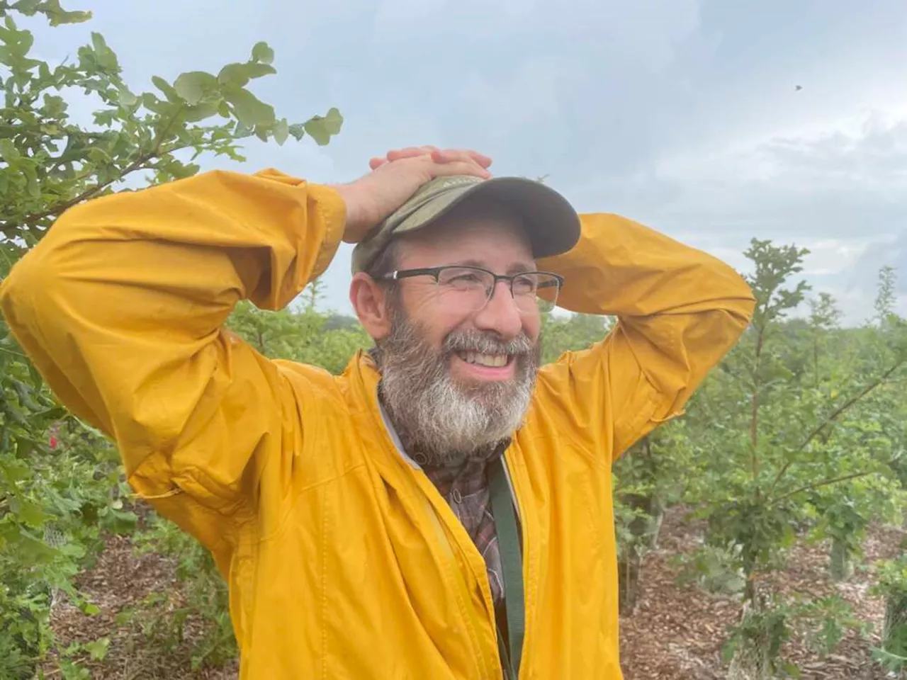 The mighty bur oak could give researchers clues to the effects of climate change