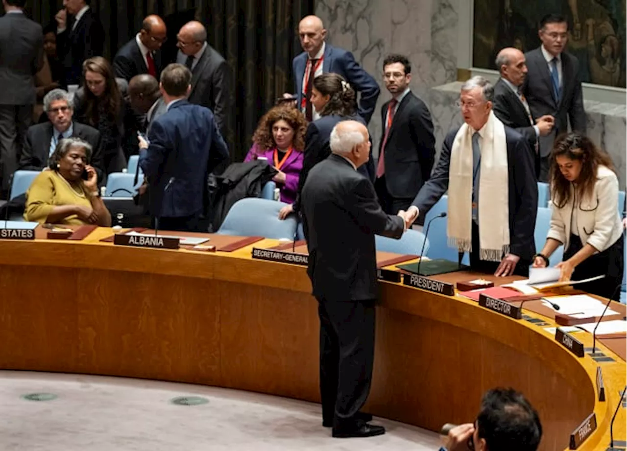 UN Security Council rejects Russia's resolution on Gaza that fails to mention Hamas