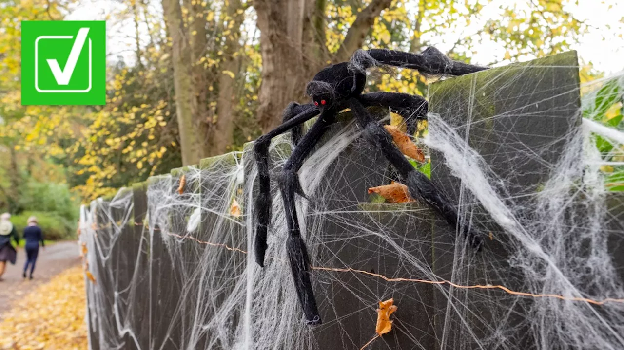 VERIFY: Yes, fake decorative spiderwebs could pose a danger to wildlife