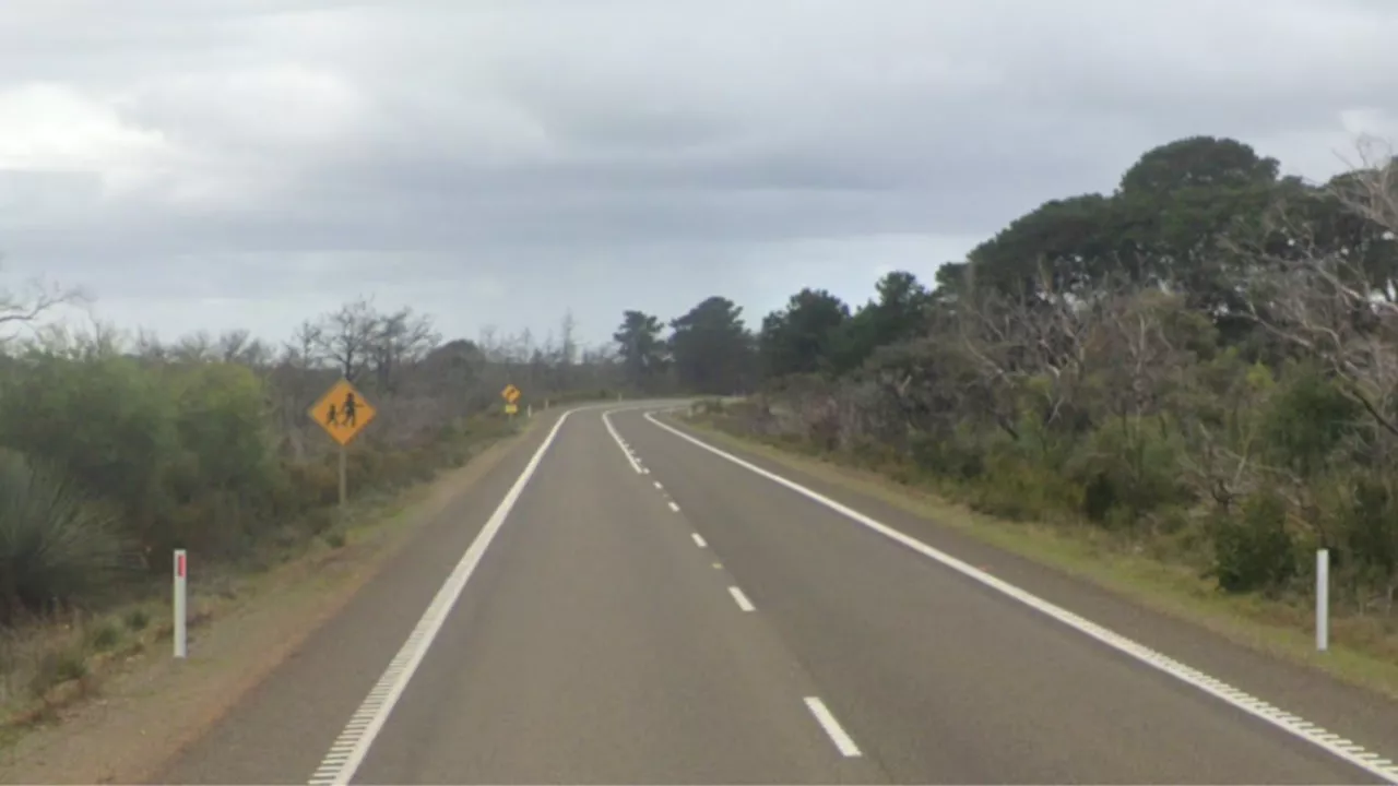 SA police make breakthrough in mystery of 40-year-old set of bones found in scrub along the Playford Hwy on Kangaroo Island