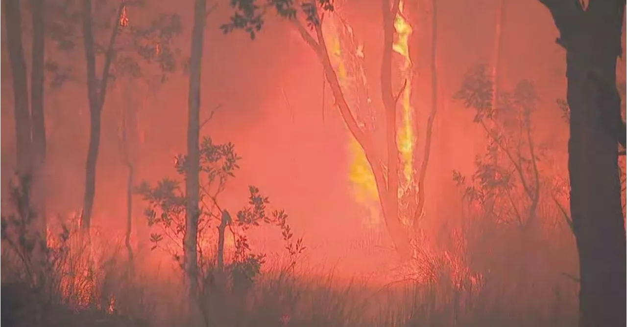 NSW fires could take weeks to extinguish as residents warned too late to leave