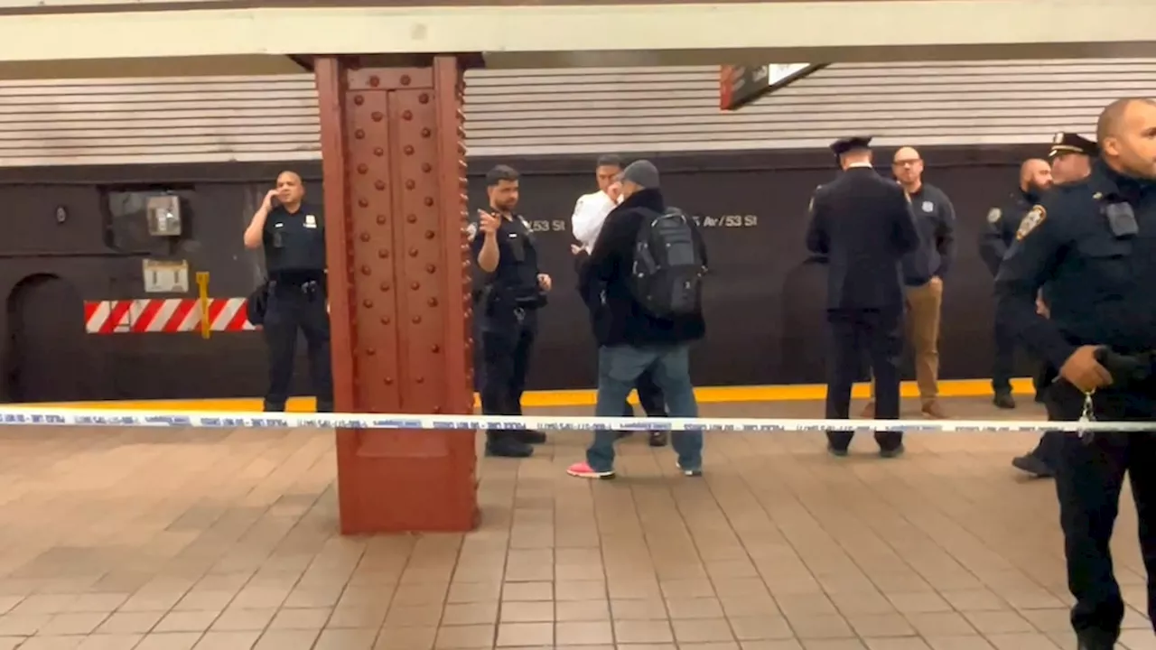 Woman in critical condition after shoved into moving NYC subway train, suspect sought: Police