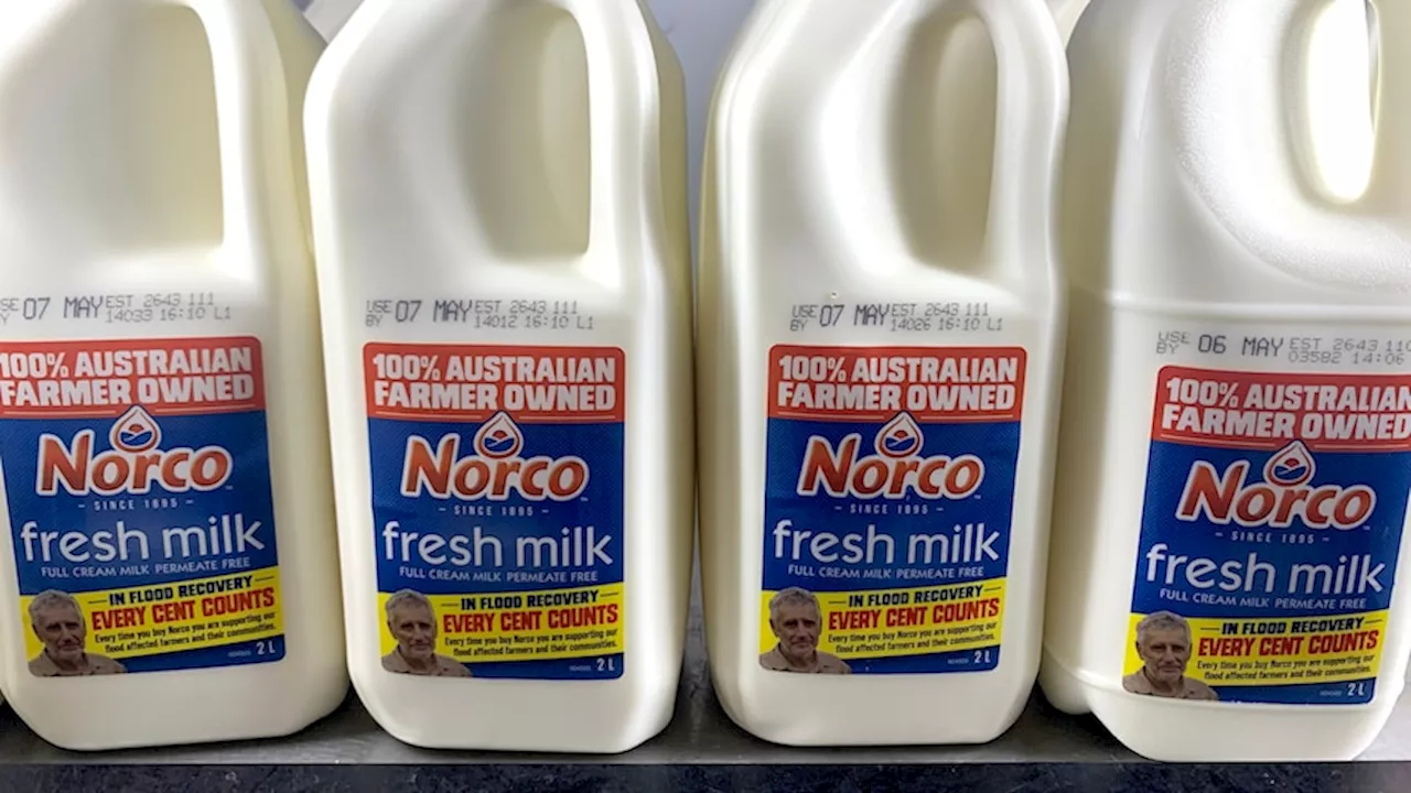 Flood-ravaged dairy cooperative Norco delivers $9.1m profit while paying farmers record milk price