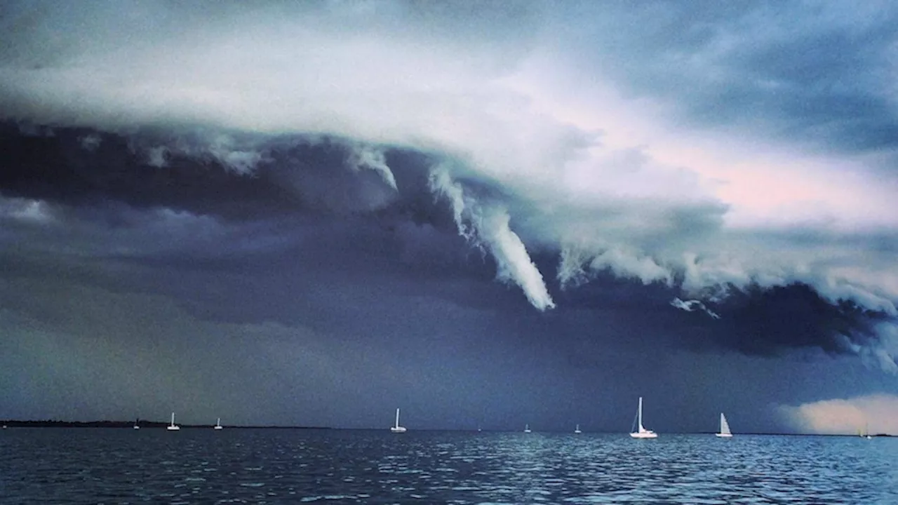 Moderate chance of early tropical cyclone forming in Coral Sea off Queensland, Bureau of Meteorology says