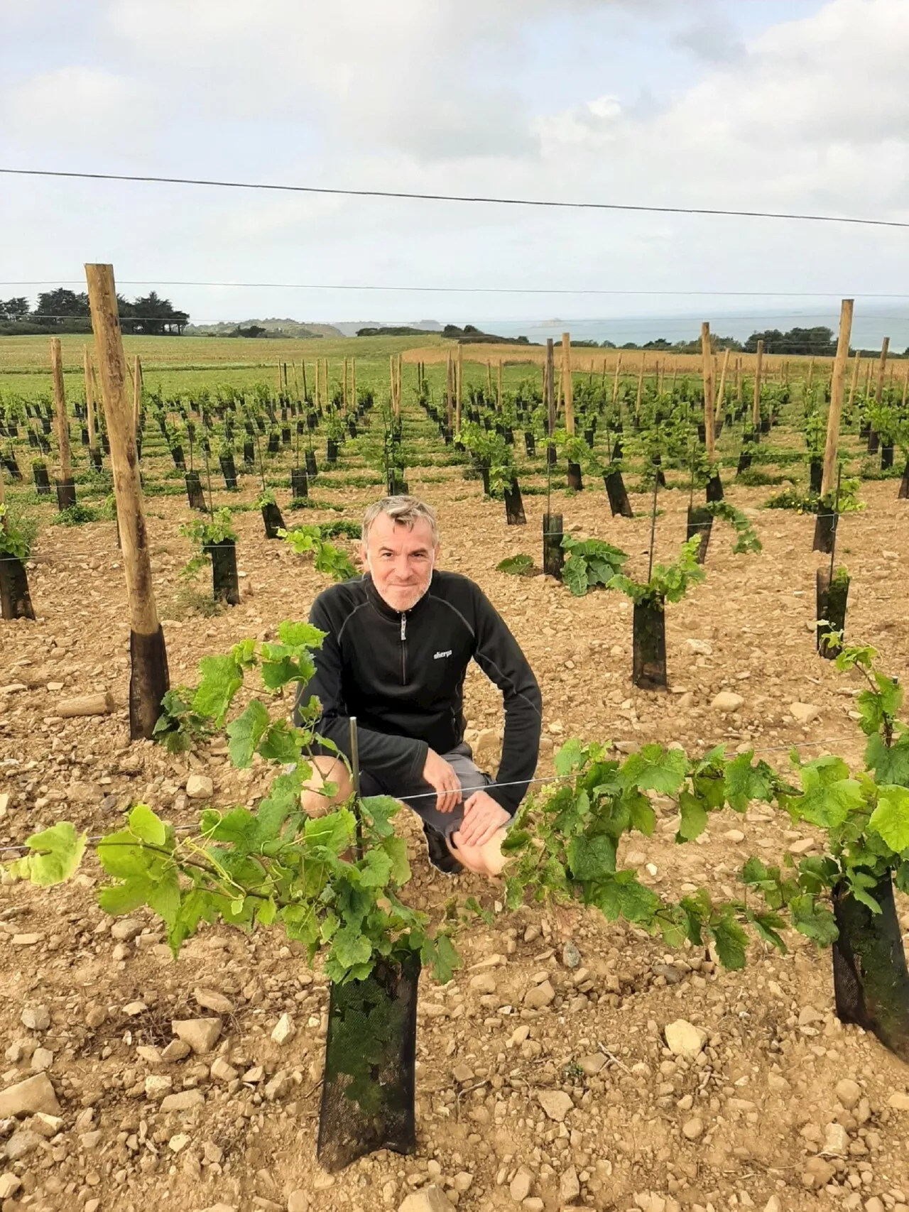 A Erquy, Laurent a planté des vignes pour en faire du vin bio et breton