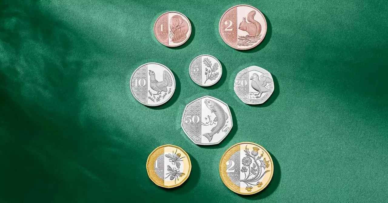 New nature-inspired coins to feature shamrocks for NI, puffins and salmon