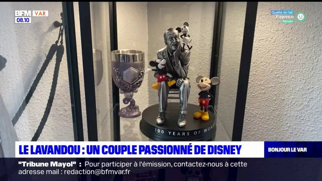 Var: au Lavandou, un couple passionné par le monde de Disney