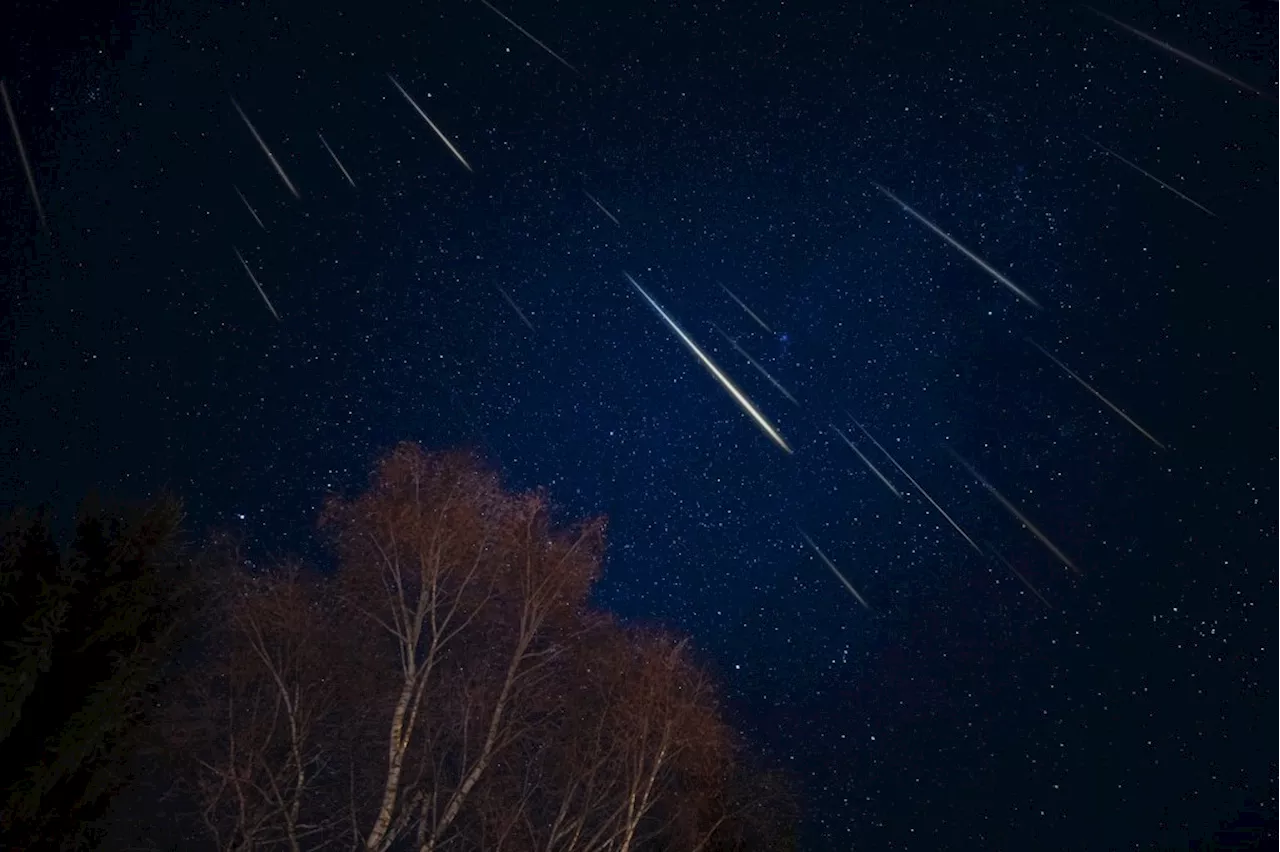 Orionid meteor shower, sparked by Halley’s comet, to peak Friday night